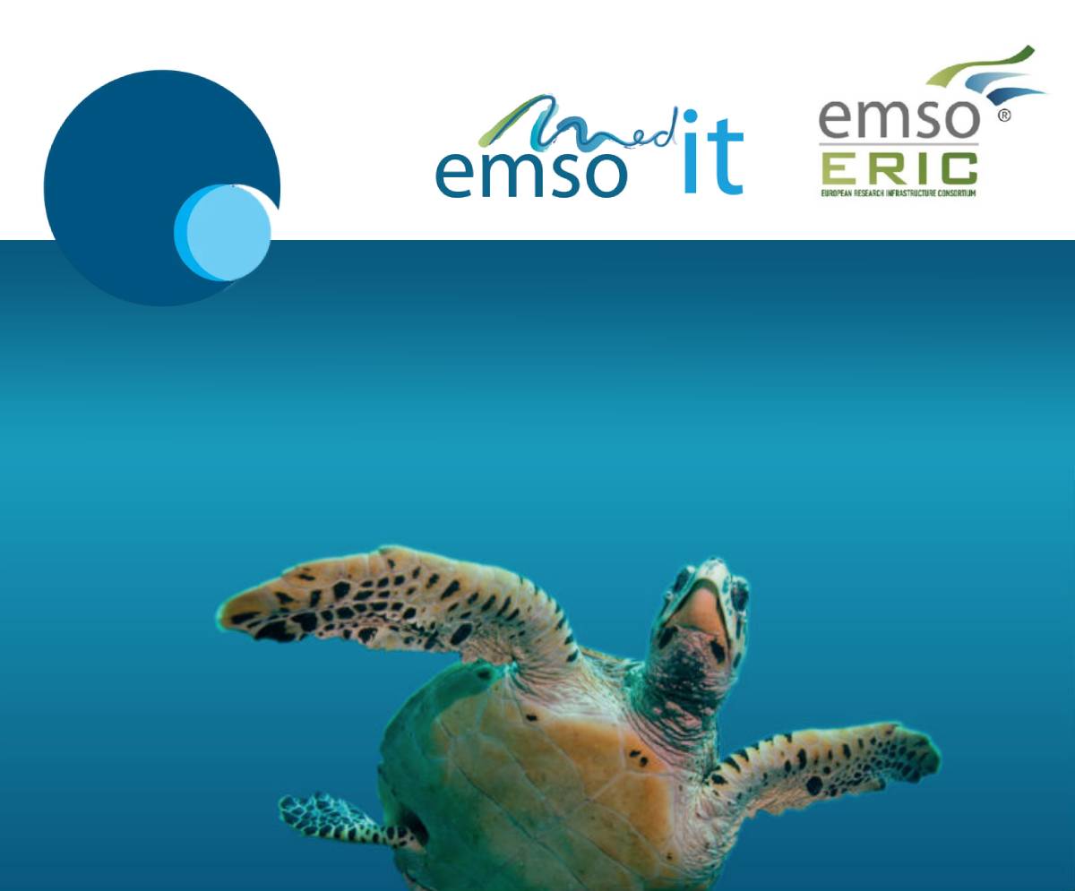EMSO